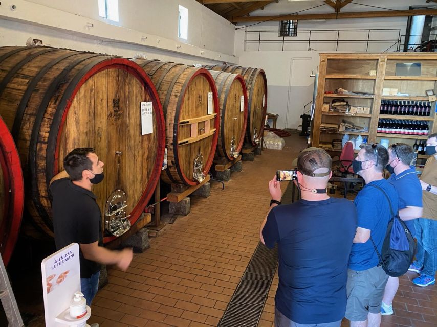 Etna & Wine Private Day Tour - A private Etna day that’s paced for real views