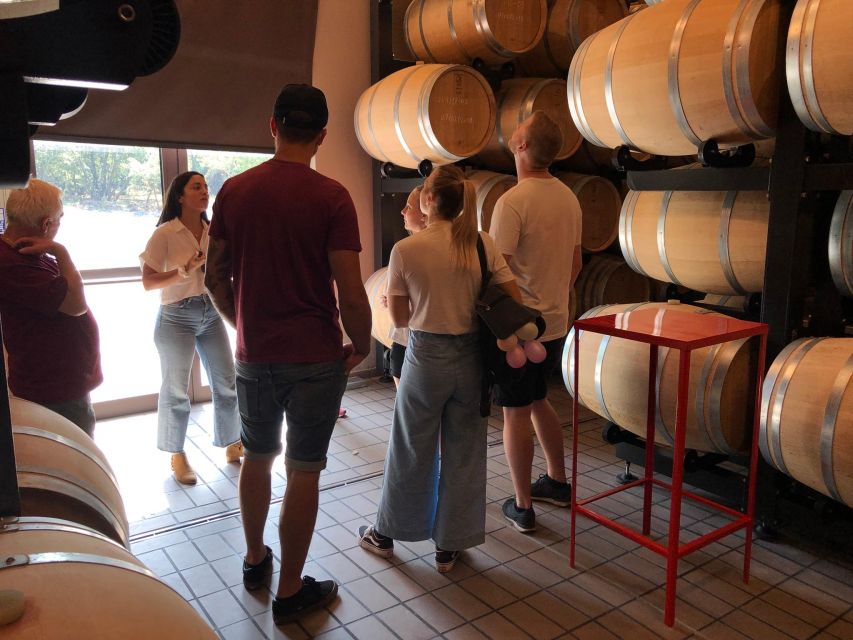 Etna & Wine Private Day Tour - The price: is $200 per person good value?