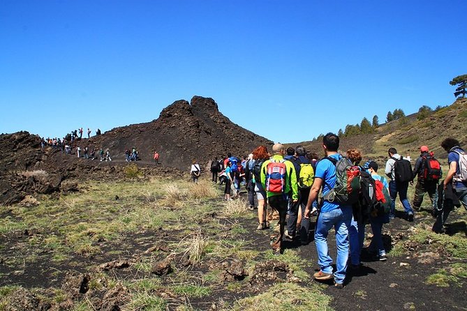 ETNA & WINE, TAORMINA TOUR FD from CATANIA (GUIDE and LUNCH Included) - Getting There from Catania: Pickup, Timing, and What to Expect