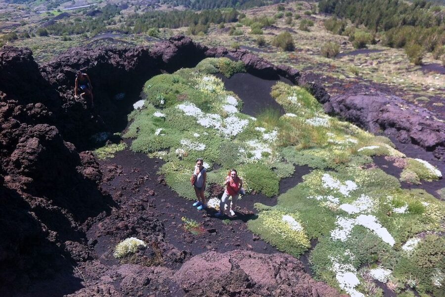 From Catania: Mount Etna Half-Day Tour and Wine Experience - Should you book Mount Etna half-day plus wine in Zafferana Etnea?