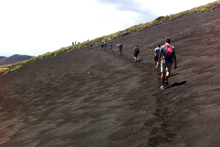 From Catania: Mount Etna Half-Day Tour and Wine Experience - Free time on Etna: use it for photos and a breather