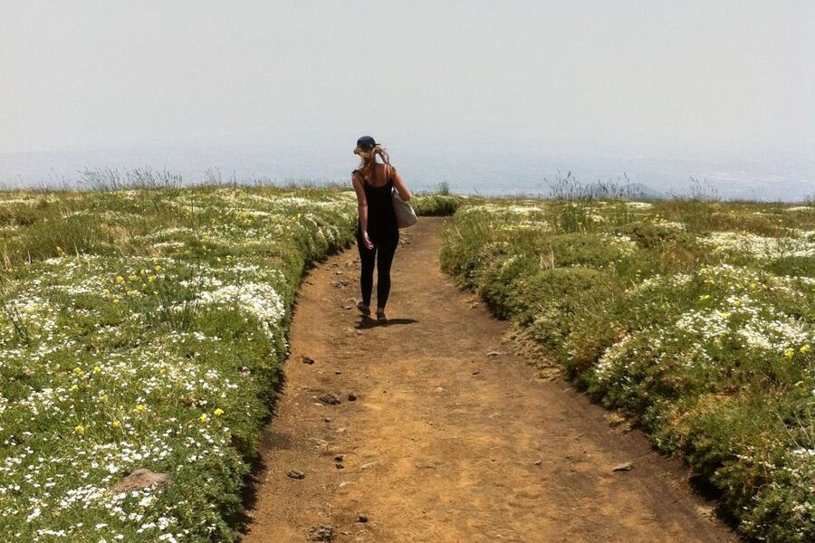 From Catania: Mount Etna Half-Day Tour and Wine Experience - Zafferana Etnea wine tasting: mineral soil in your glass