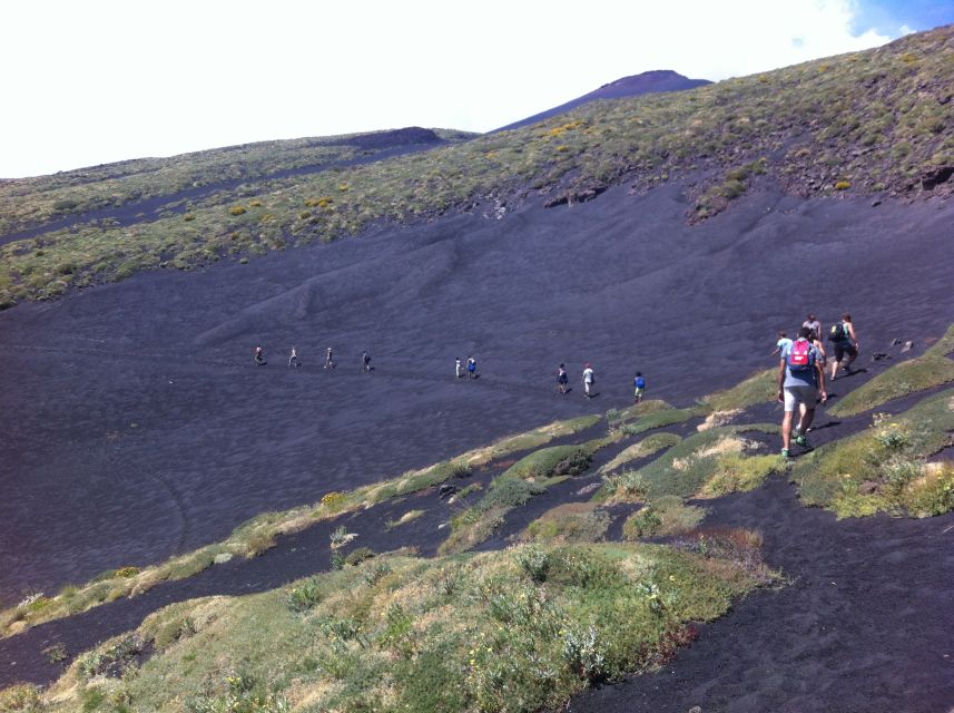 From Catania: Mount Etna Half-Day Tour and Wine Experience - Transportation and timing: how this feels as a half-day tour