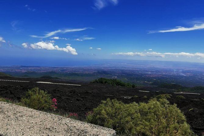 From Catania: Private mt. Etna trekking and pic-nic - The Guide’s Role: Geology and Volcanic Activity Explained on the Walk