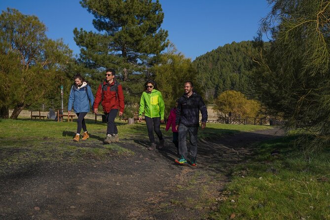 From Catania: Private mt. Etna trekking and pic-nic - Price and Value: Is $274.90 a Good Deal?