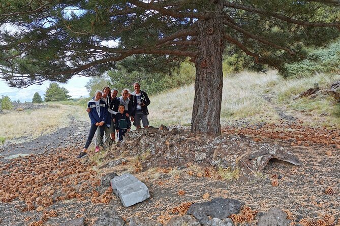 From Catania: Private mt. Etna trekking and pic-nic - Should You Book This Private Mt. Etna Trek and Picnic?