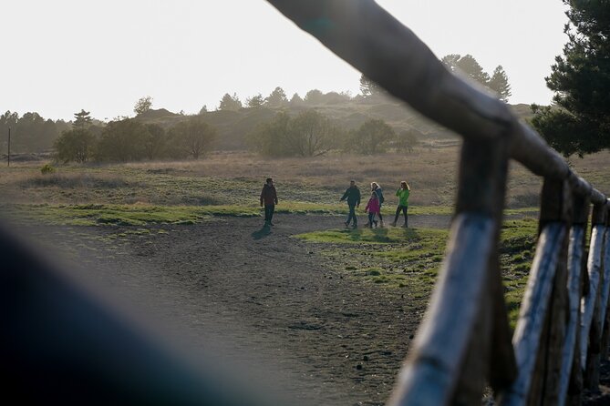 From Catania: Private mt. Etna trekking and pic-nic - Trekking Parco dell’Etna for Bove Valley Views and Volcanic Terrain