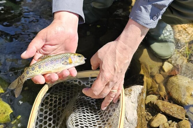 From Catania, Syracuse and Taormina: fly fishing experience - The day’s rhythm: from pickup to Appennino Siculo fishing time