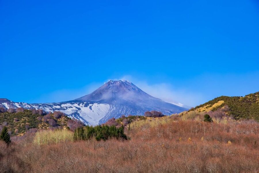 From Catania/Taormina: Mount Etna Private Wine Tasting Tour - Price and Value for a Private Group Up to 3