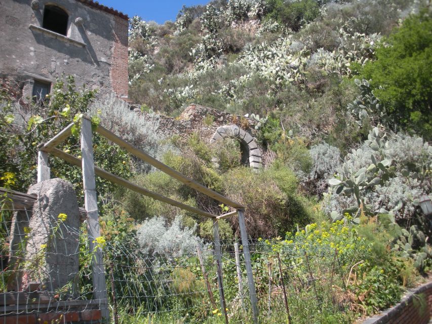 From Catania: The Godfather Movie Day Trip in Sicily - Who should book this Catania Godfather day trip