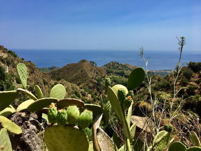 From Catania: The Godfather Movie Day Trip in Sicily - Lunch breaks and food reality in Savoca and Forza d’Agrò