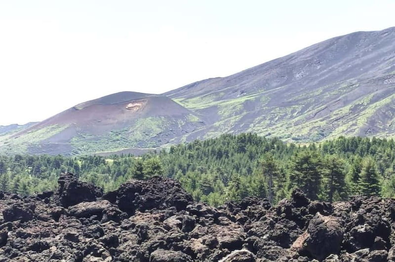 From Taormina: Etna Walking Tour and Wine Tasting in Winery - Key highlights worth clocking before you go