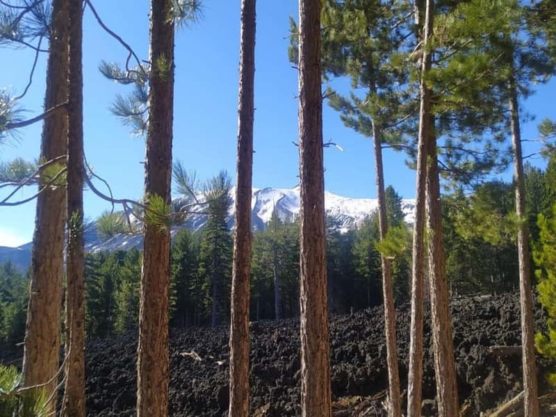 From Taormina: Etna Walking Tour and Wine Tasting in Winery - Taormina to Etna: the ride that sets the tone