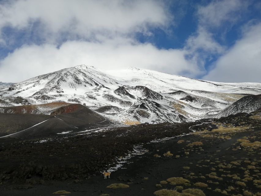 From Taormina or Catania: Private Full-Day Mount Etna Hike - Key things that make this Etna day work