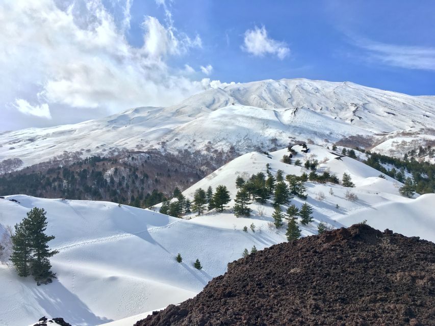 From Taormina or Catania: Private Full-Day Mount Etna Hike - Price and value: what you’re paying for at about $644 per group