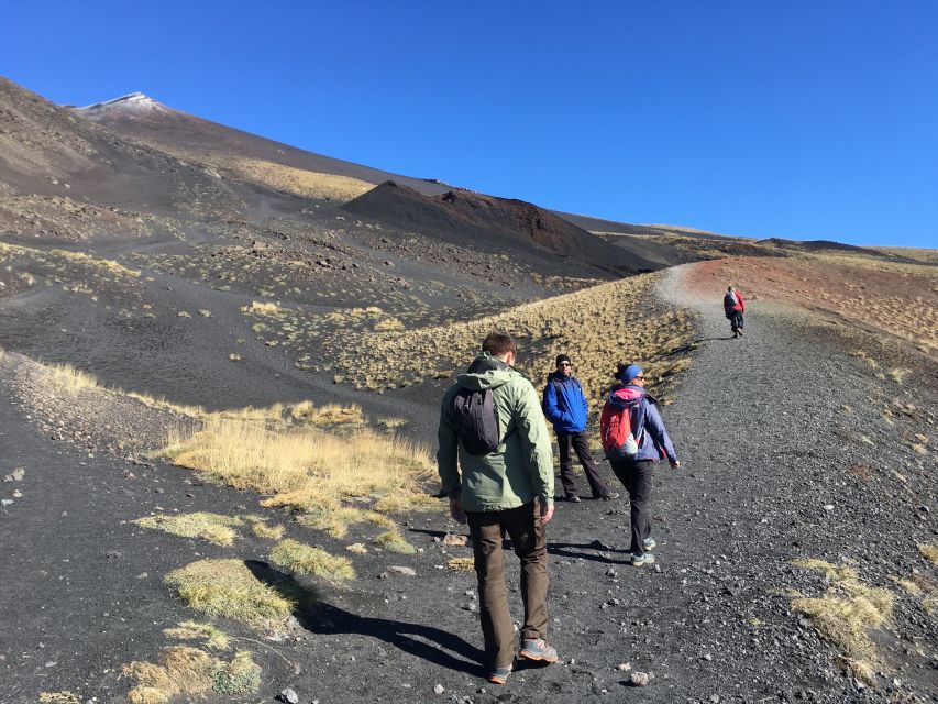 From Taormina or Catania: Private Full-Day Mount Etna Hike - Food and the picnic reality: included, but not vegetarian-friendly