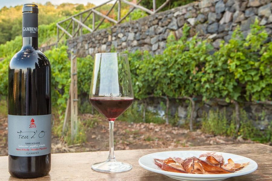 From Taormina: Private 3 Etna Wineries with Food & Wine - Why this private Etna route feels worth the day