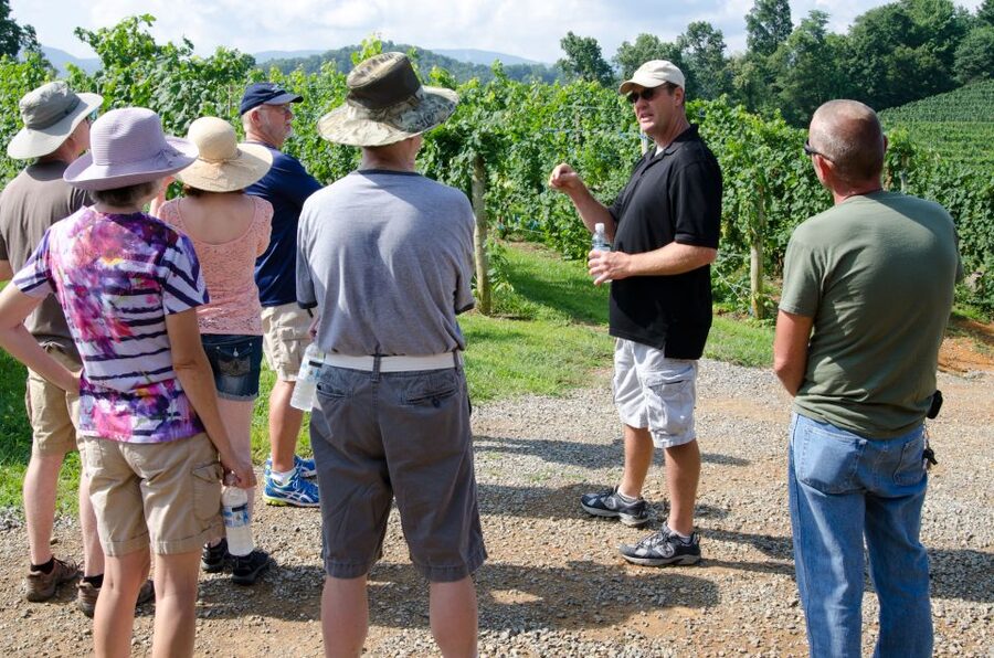 From Taormina: Private 3 Etna Wineries with Food & Wine - Stop 2: regional tastings with tagliere and a Sicilian pasta dish
