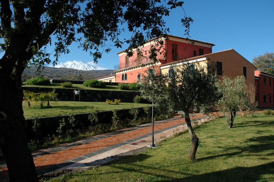 From Taormina: Private 3 Etna Wineries with Food & Wine - Stop 3: the final winery with reds and whites plus local appetizers