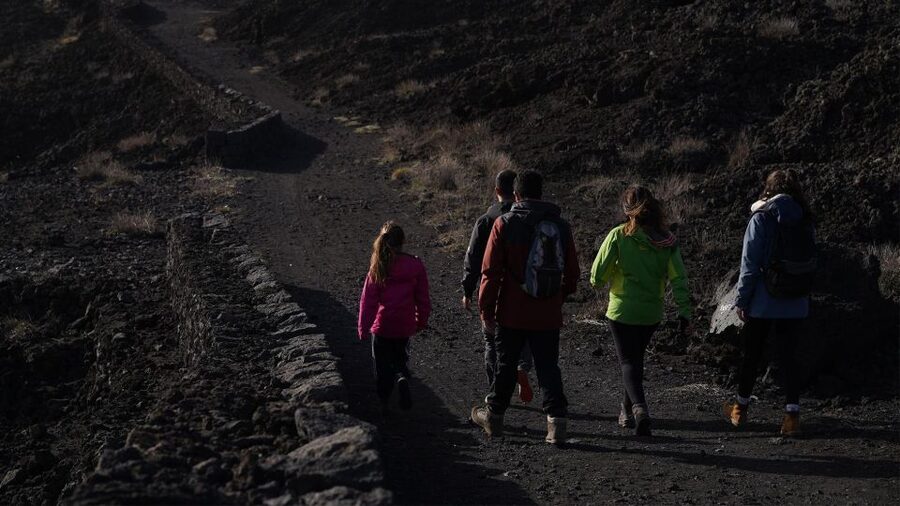 Full-Day Etna and Wine Tour from Catania - Price and value check for $133.68