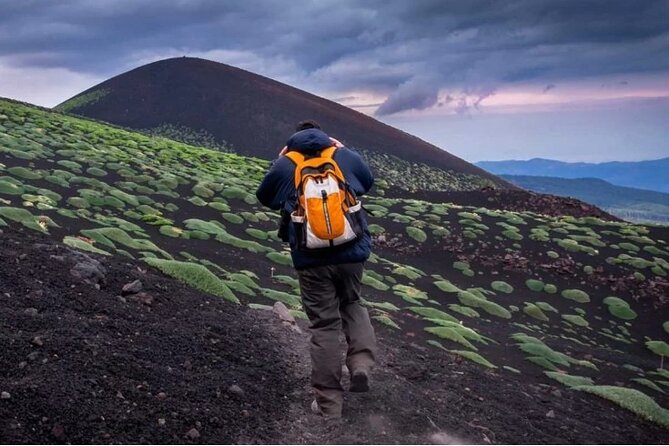 Half Day Guided Tour in Mount Etna (3000 meters) - Mount Etna at 3000m: what makes this half day different