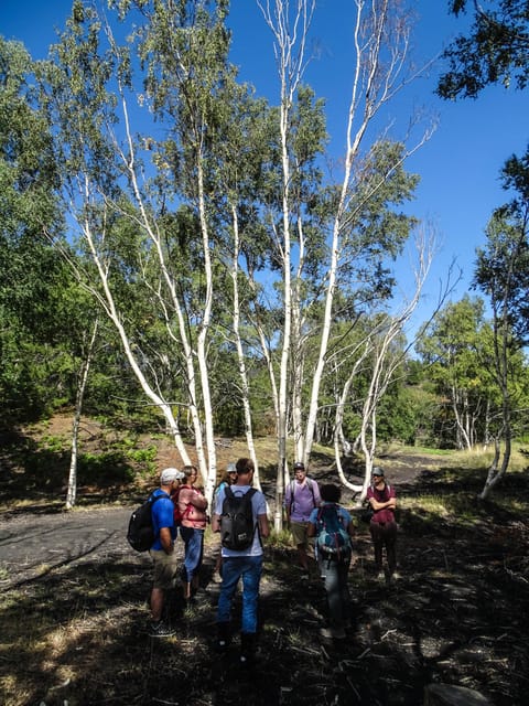Mount Etna and Alcantara Gorges Day Trip - Timing, Group Size, and What You’ll Spend Most of Your Day Doing