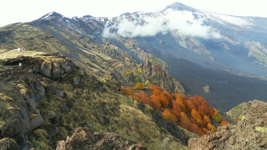 Mount Etna: Half-Day Guided Tour and Hike - The walk toward the latest eruption site: the part that feels most immediate