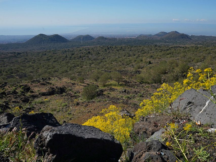 Mount Etna: Half-day Morning Jeep Tour - Silvestri Craters Walk at Around 2000m