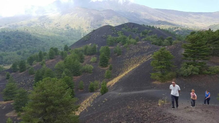 Mount Etna & Taormina Multi-language Tour from Palermo - What you get for $168.79: value check