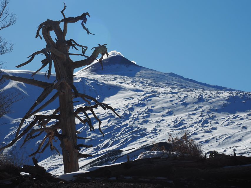 Mount Etna: Trek to the Craters of The 2002 Eruption - Key things I think you’ll care about
