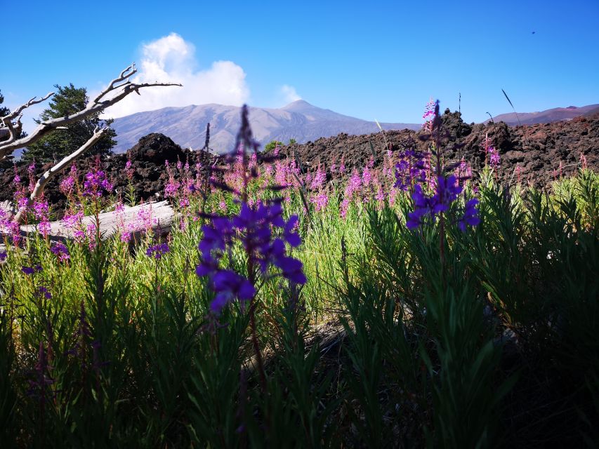 Mount Etna: Trek to the Craters of The 2002 Eruption - The views that make the climb worth it: Naxos and Calabria from Etna