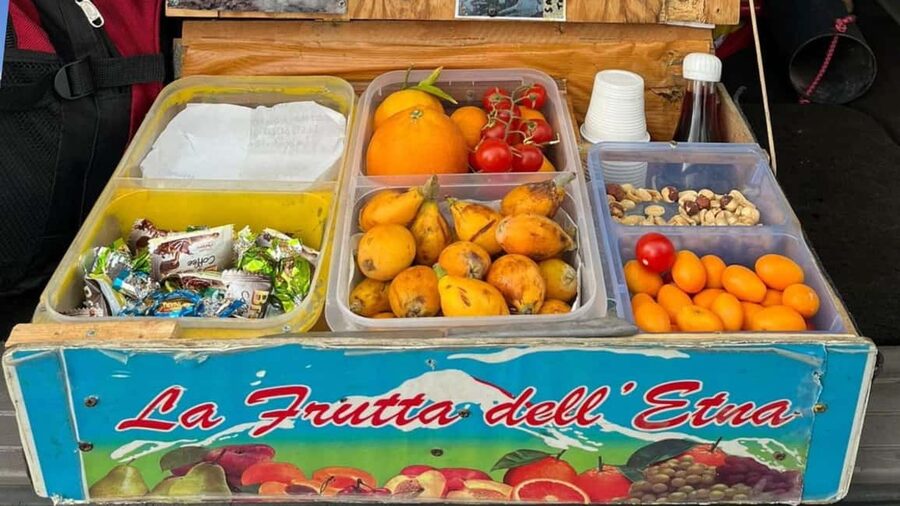Mount Etna: trek with vintage car, tasting sicilian produtcs - Toast with Etna white wine at the craters