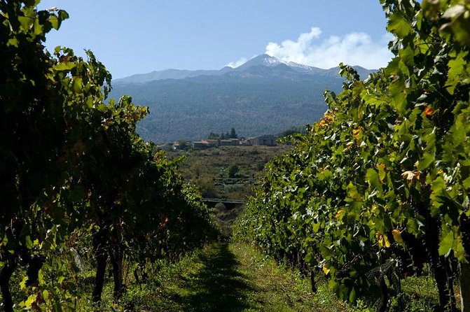 Mt Etna and Wine tasting tour from Catania - What to wear, bring, and expect on an Etna day