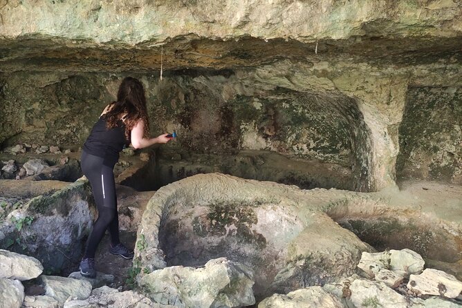 Nature Reserve ,Trekking Eco Tour in Iblei National Park - Pickup, mobile ticket, and the practical side of the day