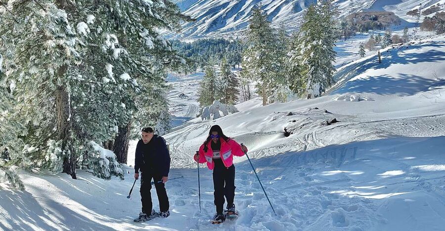 Piano Provenzana: Guided Mt. Etna Snowshoeing Trek - Key Things I’d Prioritize on This Hike