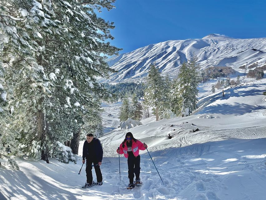Piano Provenzana: Guided Mt. Etna Snowshoeing Trek - The First 15 Minutes: Safety Briefing That Actually Helps