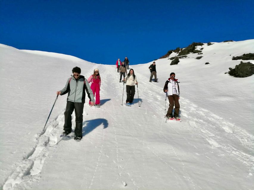 Piano Provenzana: Guided Mt. Etna Snowshoeing Trek - Piano Provenzana: Snowy Forest on a Real Volcano