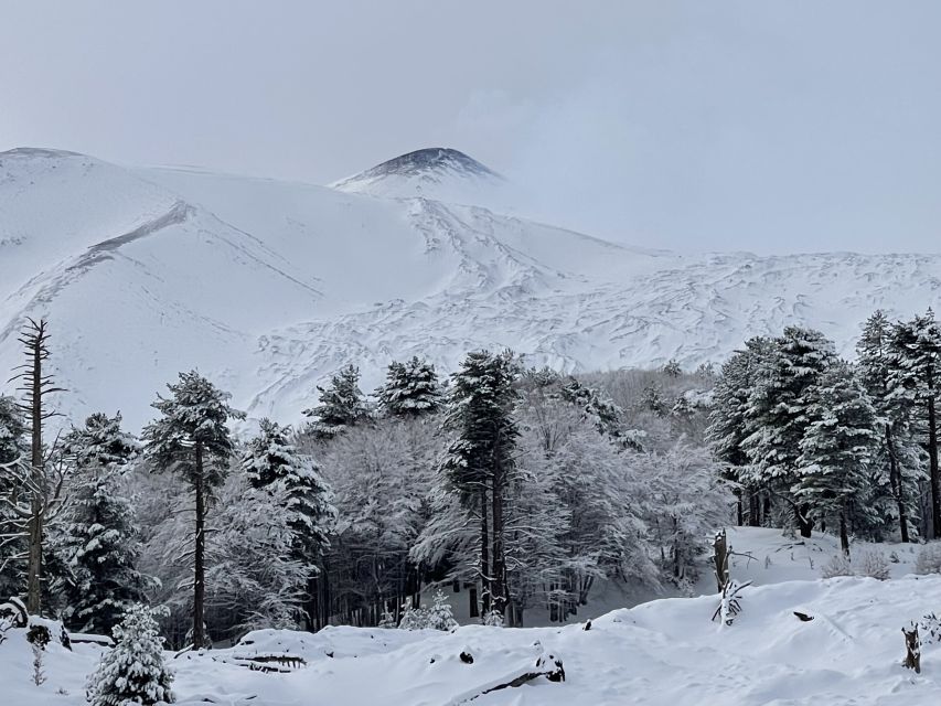 Piano Provenzana: Guided Mt. Etna Snowshoeing Trek - Cross Lava Flows and Fractures: What You’re Looking For