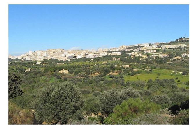 Private Full-Day Tour of Agrigento and Piazza Armerina - How the Catania pickup sets the tone for your day