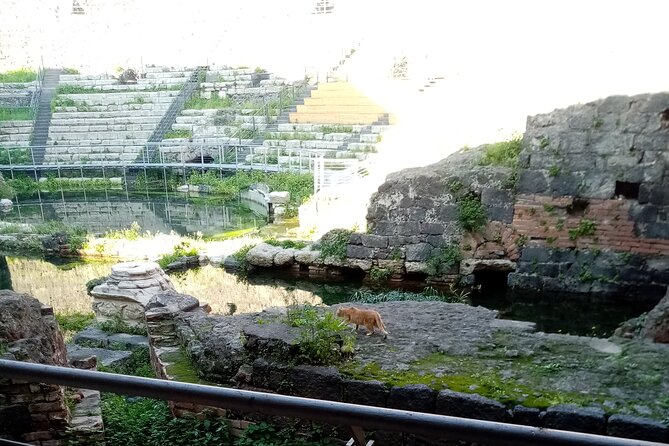 Private tour of Catania and the Riviera of the Cyclops - Acitrezza on the Cyclops Coast: Sea Views With a Story Attached
