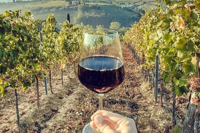 Private visit to the cellars of Etna with wine tasting - Who this private Etna cellar visit suits best
