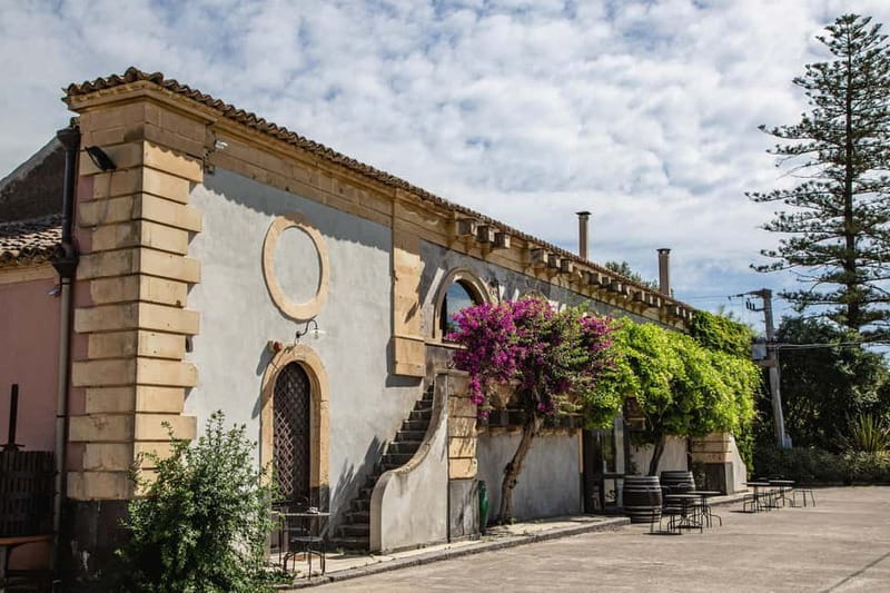 Sicilian Soul: Winery Tour, Wine & Food Tasting in Catania - Key Things You’ll Notice Right Away