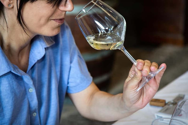 Sicilian Soul: Winery Tour, Wine & Food Tasting in Catania - Who this experience suits best (and who might want something else)