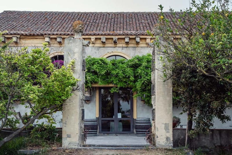 Sicilian Soul: Winery Tour, Wine & Food Tasting in Catania - The ancient Palmento tour: more than a photo stop