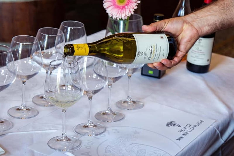 Sicilian Soul: Winery Tour, Wine & Food Tasting in Catania - How long it takes, and why the short timing is smart