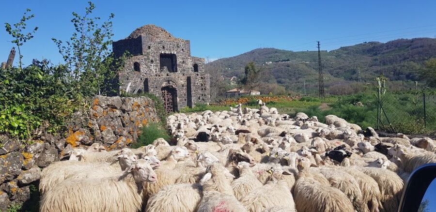 Sicily: Mount Etna 4x4 Jeep Tour with Lava Caves & Forests - The Sartorius side craters and the 60-minute trek at 1,700m