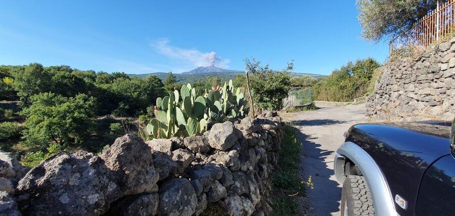 Sicily: Mount Etna 4x4 Jeep Tour with Lava Caves & Forests - Price and value: what $542 gets for a private 4x4 day