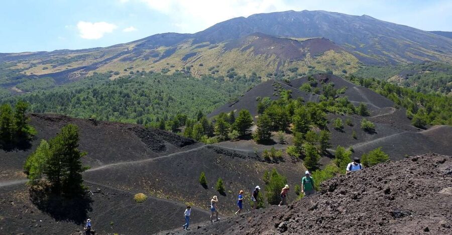 Taormina and Catania: Private Etna Exploration and Cave Tour - Who this Etna private tour fits best
