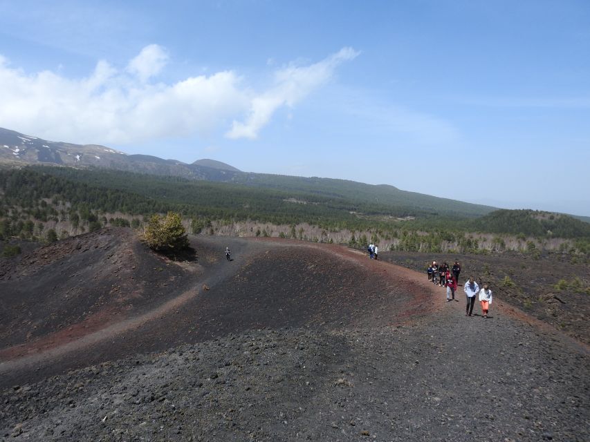 Taormina and Catania: Private Etna Exploration and Cave Tour - Etna Park stop: the mix of photos, safety, and real walking time