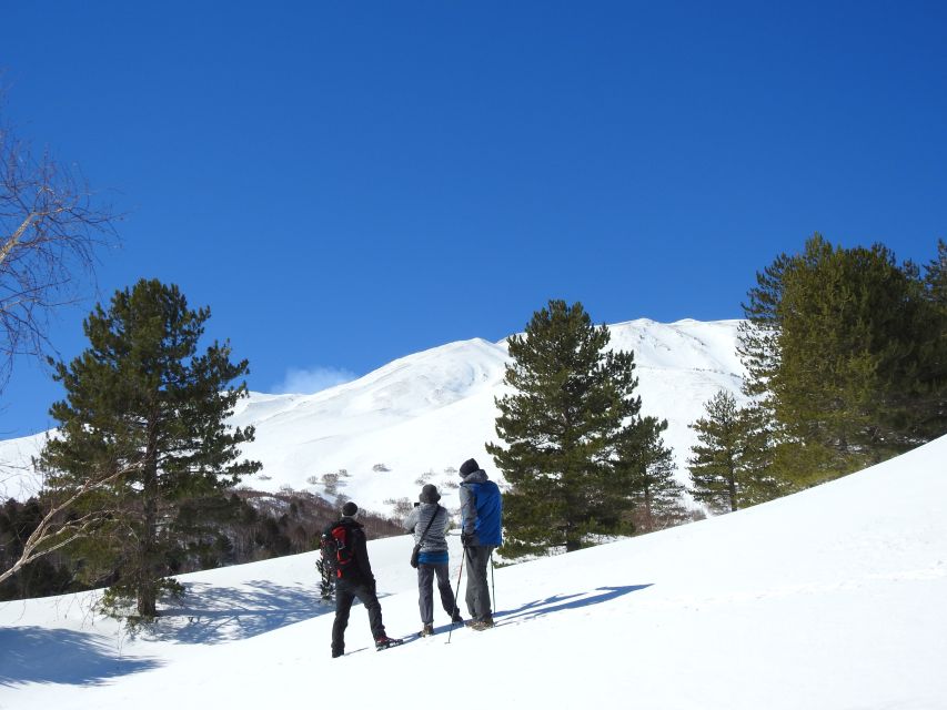Taormina and Catania: Private Etna Exploration and Cave Tour - The 3 km hike to Etna’s lateral craters